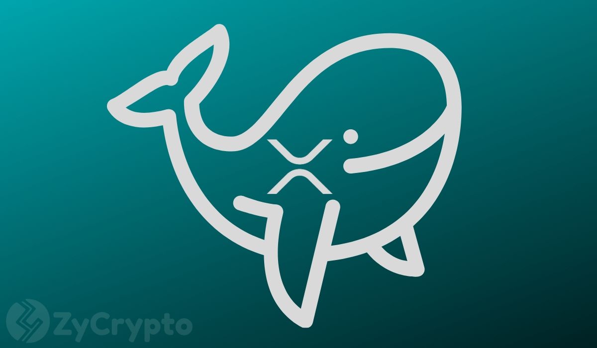 XRP Whale Activity Hits Weekly Low as $1 Million Transactions Nearly Vanish