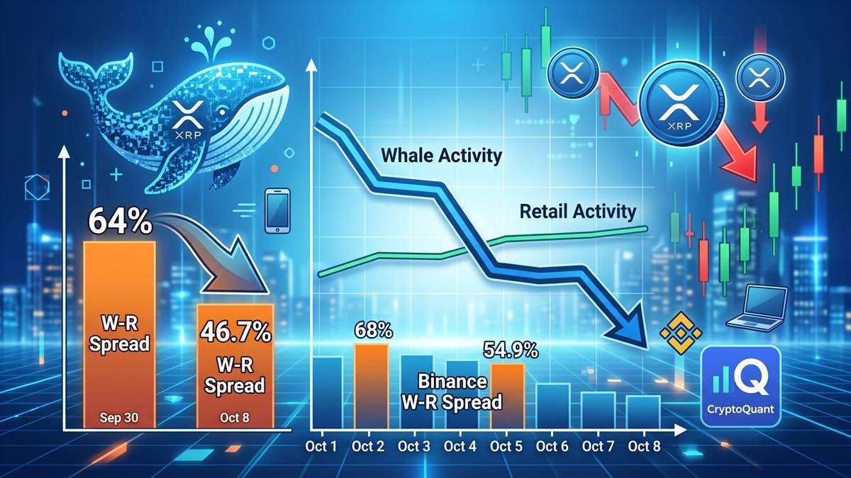 XRP Whale Dominance Plunges 27% in Just 8 Days as Selling Pressure Mounts