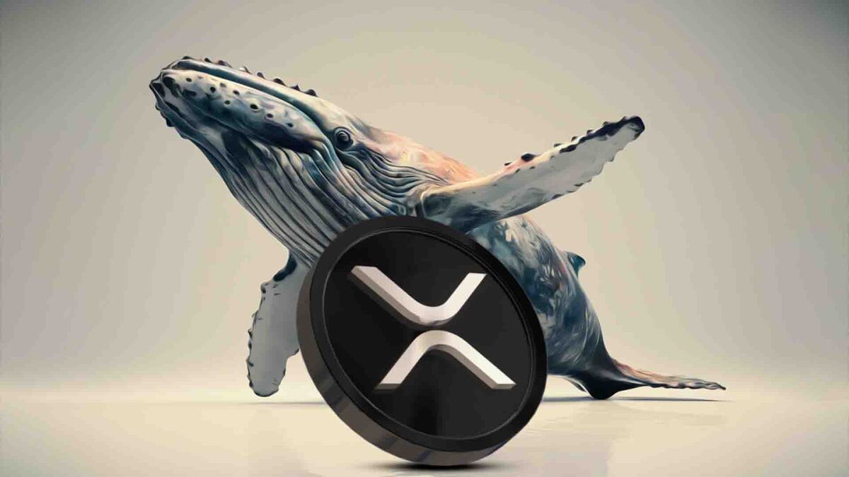 XRP Whales Pull $530 Million From Binance in Massive Accumulation Move