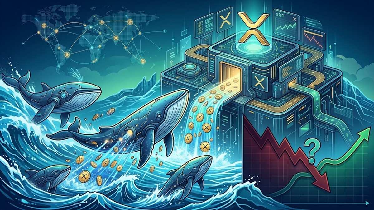 XRP Whales Sent $112.4M to Binance — Is the Worst of the Selling Now Over?