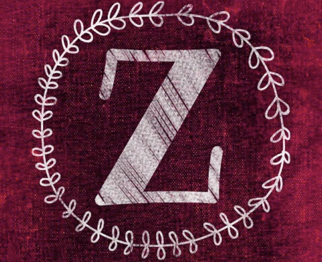 Zcash Price Gains Momentum as Experts Predict Major Upside Amid Regulatory Pressure