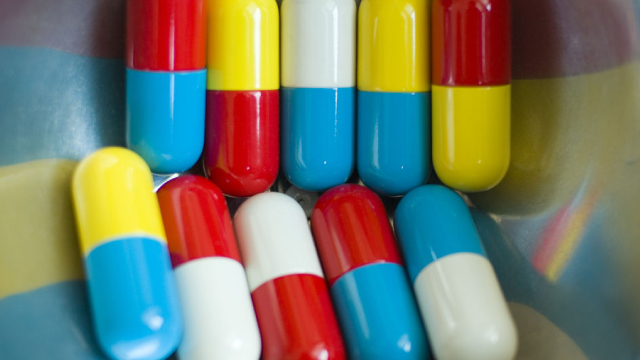 Zoetis Stock Rises 13% in a Month: Time to Add to Your Portfolio?