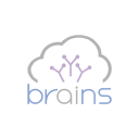 Logo for company Brains Technology, Inc.