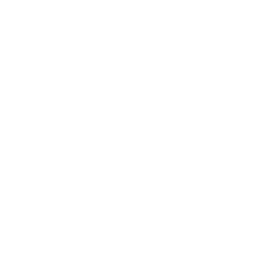 Apple Inc. (AAPL) Insider Traders