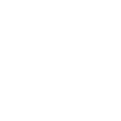 American International Group, Inc. (AIG) Competitors