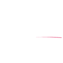 AutoNation, Inc. (AN) Mergers