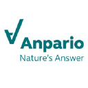 ANPARIO PLC LS -,23 Aktie Logo