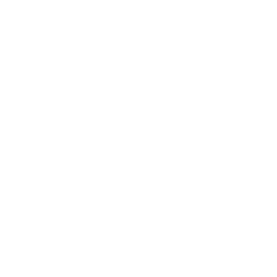 ASML Holding N.V.