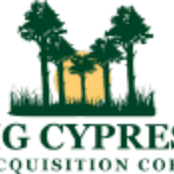 Big Cypress Acquisition Corp. (BCYP) Charts