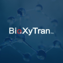 CYCA's stock peer is BIXT (Bioxytran, Inc.)