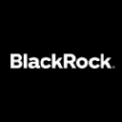 BlackRock Income Trust, Inc. (BKT) Stock Analysis