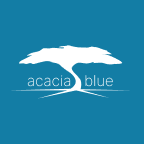 bleuacacia ltd (BLEU) Analyst Forecast