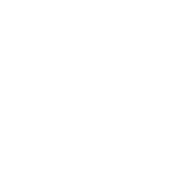 Bridgeline Digital, Inc. (BLIN) Competitors