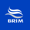 Logo for company Brim hf.
