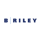 B. Riley Principal 250 Merger Corp. (BRIV) Financials