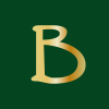 BMSPF's stock peer is BRNE (Borneo Resource Investments Ltd.)