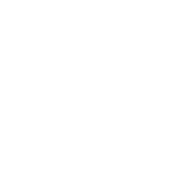 BRQS