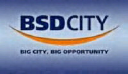 photo-url-https://images.financialmodelingprep.com/symbol/BSDE.JK.png