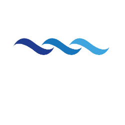 Blue Water Vaccines, Inc. (BWV) Financials