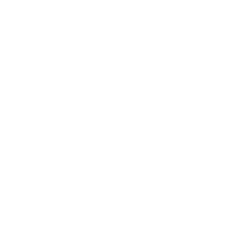 The Cheesecake Factory Incorporated (CAKE) SEC Filling