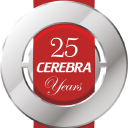 COMPINFO.NS's stock peer is CEREBRAINT.NS (Cerebra Integrated Technologies Limited)
