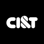 CI&T Inc (CINT) Earning