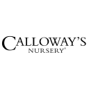 YIKWF's stock peer is CLWY (Calloway's Nursery, Inc.)