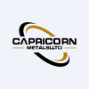 Capricorn Metals Ltd logo