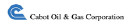 COG.TO logo