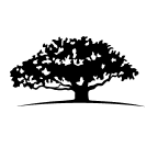 photo-url-https://images.financialmodelingprep.com/symbol/DHDG.png