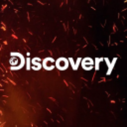 Warner Bros. Discovery, Inc. (DISCB) Charts