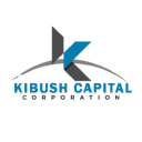 photo-url-https://images.financialmodelingprep.com/symbol/DLCR.png