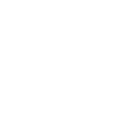 Bright Minds Biosciences Inc. (DRUG) Technical Analysis