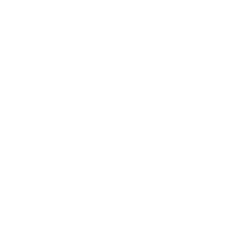 e.l.f. Beauty, Inc. (ELF) Earning