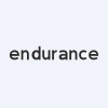 Endurance Motive, S.A. logo