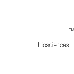 Ensysce Biosciences, Inc. (ENSC) Technical Analysis