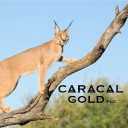 GCAT.L logo