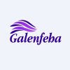 PMEHF's stock peer is GLFH (Galenfeha, Inc.)