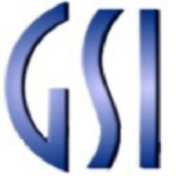 GSI Technology, Inc. (GSIT) Ownership