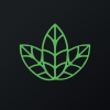 NUGS's stock peer is HPMM (Hemp Naturals, Inc.)