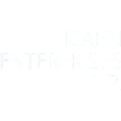 Icahn Enterprises L.P. (IEP) Competitors