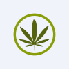 BABL's stock peer is LGBI (Cannabiz Mobile, Inc.)