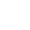 Li Auto Inc. (LI) Financials