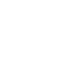 Mill City Ventures III, Ltd. (MCVT) Ownership