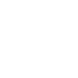 Medicus Sciences Acquisition Corp. (MSAC) Financials