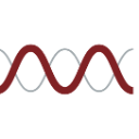 Molecular Templates, Inc.