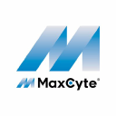 RENX.L's stock peer is MXCT.L (MaxCyte, Inc.)