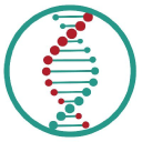 Mainz Biomed B.V. (MYNZ) Charts