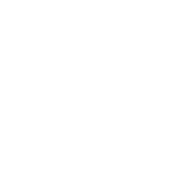 NeuBase Therapeutics, Inc. (NBSE) Charts