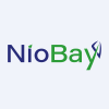 NBYCF's stock peer is NBY.V (Niobay Metals Inc.)